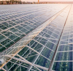 Arial of greenhouse roofs